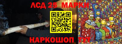 гидропоника Можга