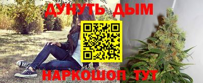 гидропоника Можга