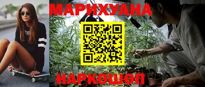 гидропоника Можга