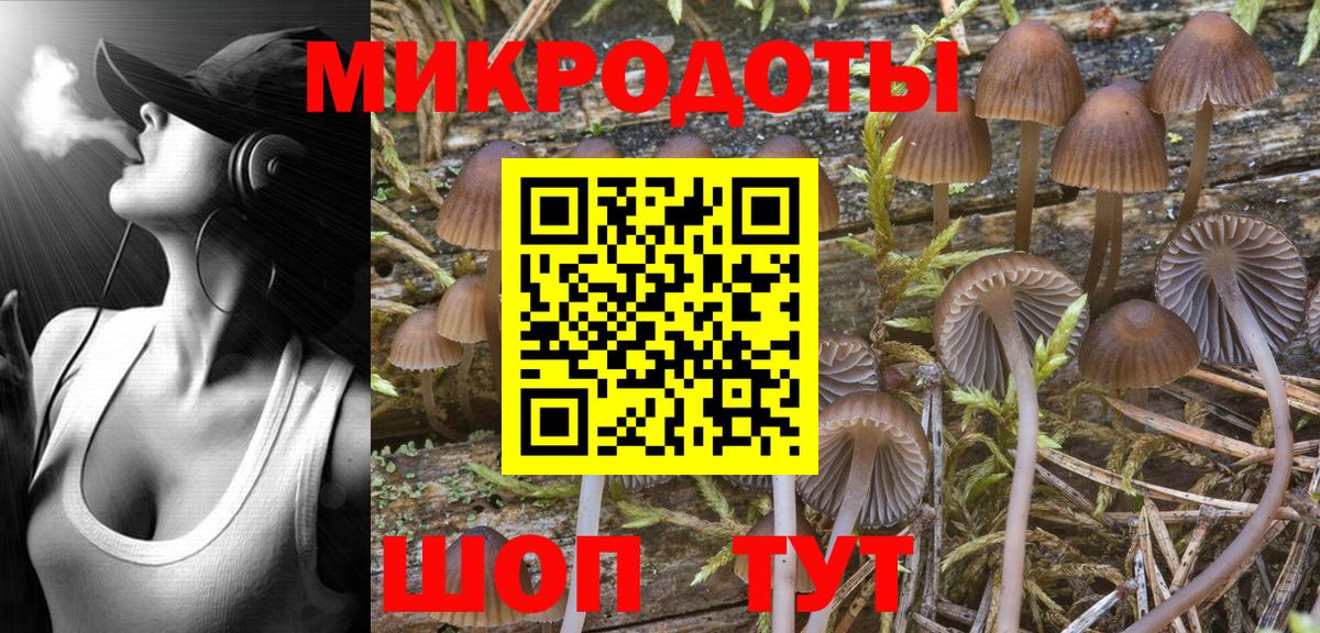 купить   Псилоцибиновые грибы Psilocybine cubensis  Фурманов  Вход с VPN  Галлюциногенные грибы Cubensis 