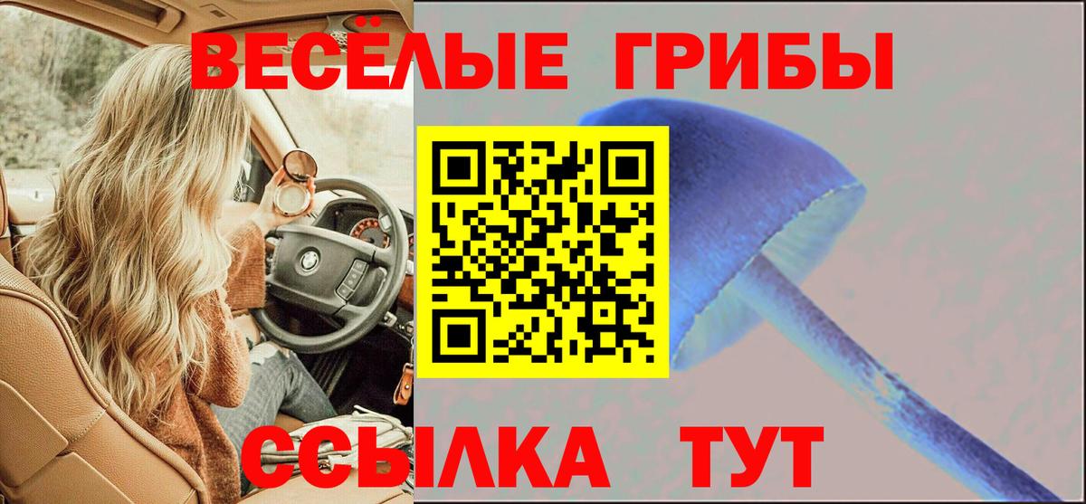 Галлюциногенные грибы Cubensis Фурманов
